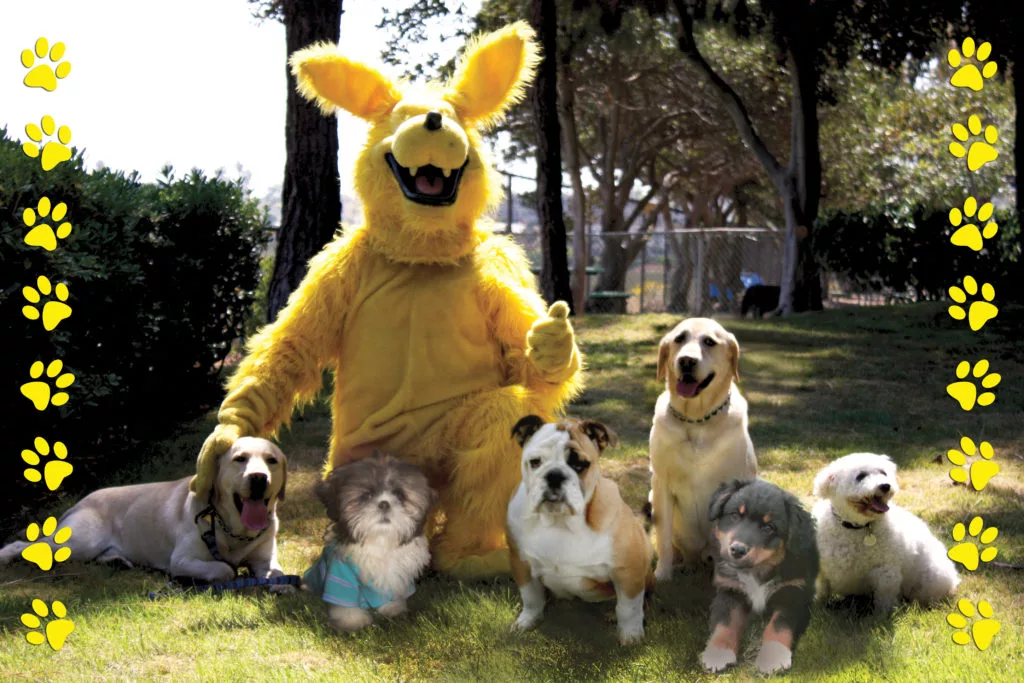 campland has a off-leash dog park