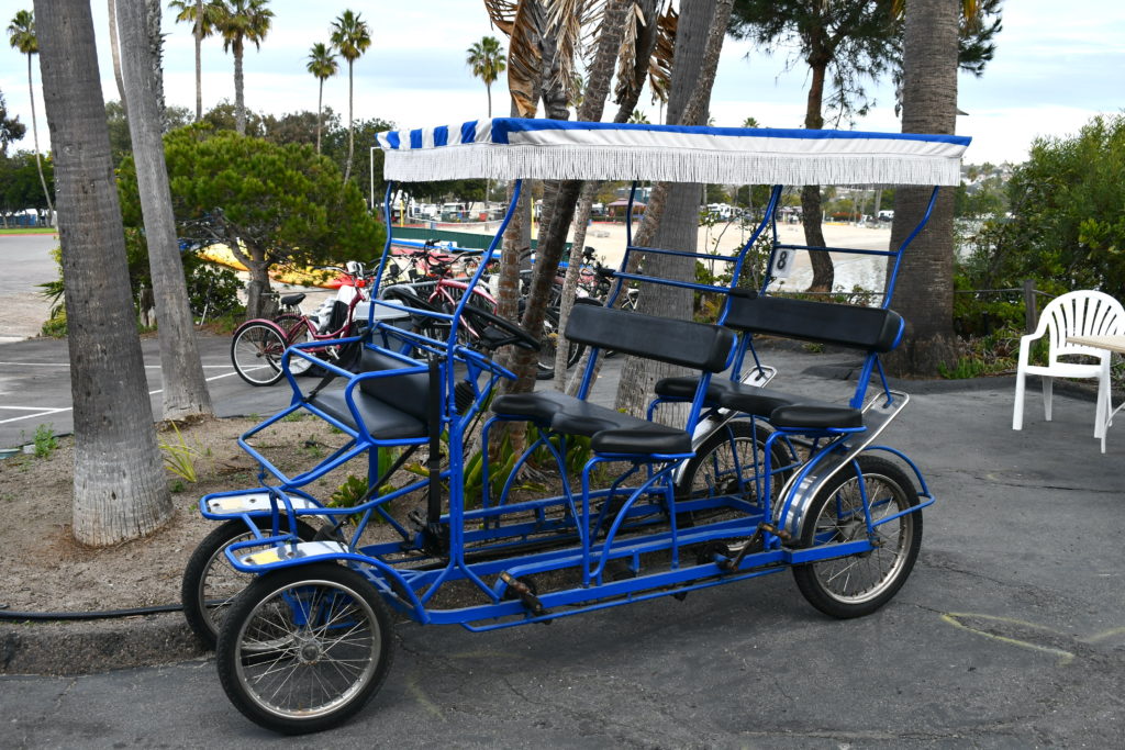 four seat surrey cart