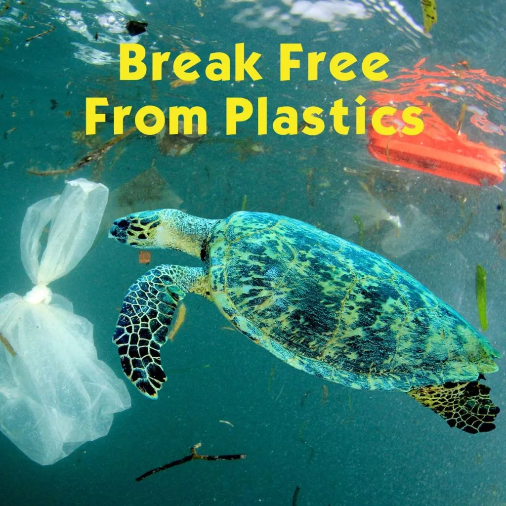 reduce plastic waste