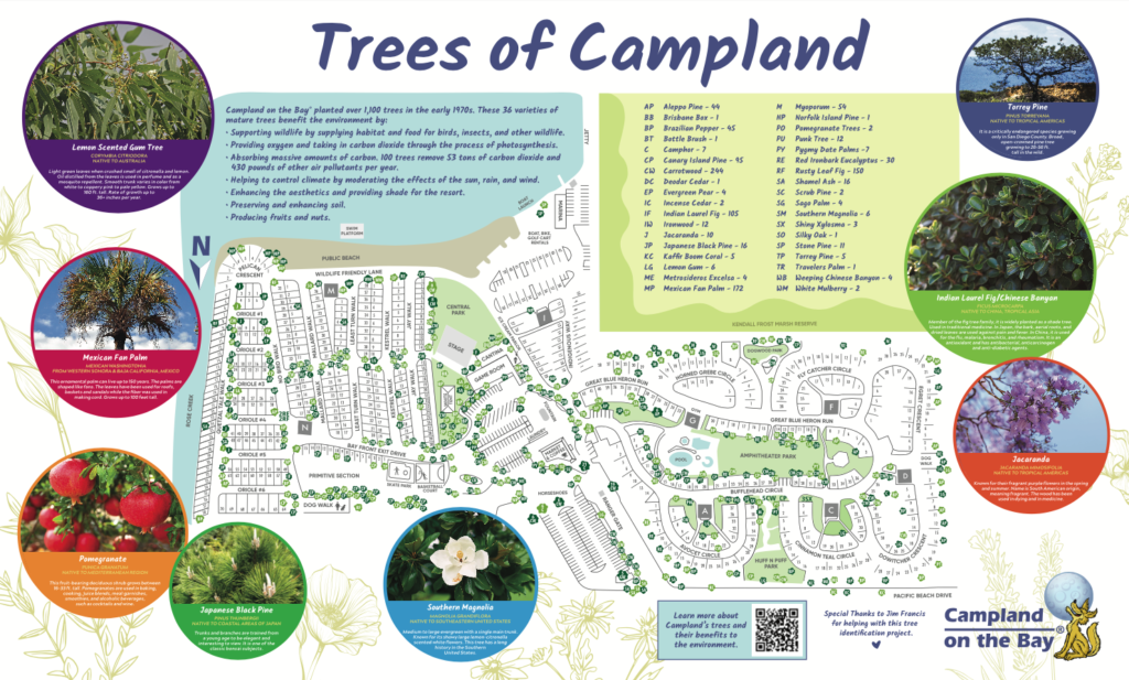 Trees of Campland Map